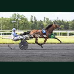 Heat Course 8 06/06/2026 - photos course hippodrome paris vincennes...