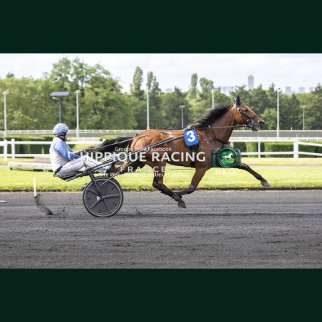 Heat Course 8 06/06/2026 - photos course hippodrome paris vincennes...