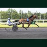 Heat Course 8 06/06/2026 - photos course hippodrome paris vincennes...