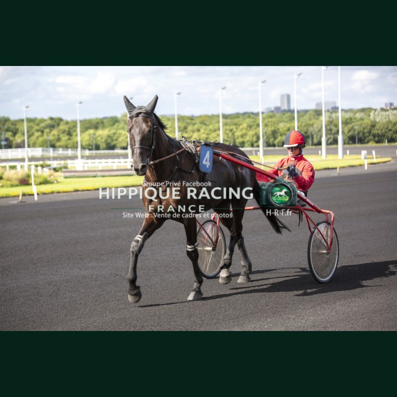 Course 8 06/06/2026 - photos course hippodrome paris vincennes trot