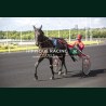 Course 8 06/06/2026 - photos course hippodrome paris vincennes trot