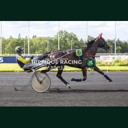 Heat Course 9 06/06/2026 - photos course hippodrome paris vincennes...