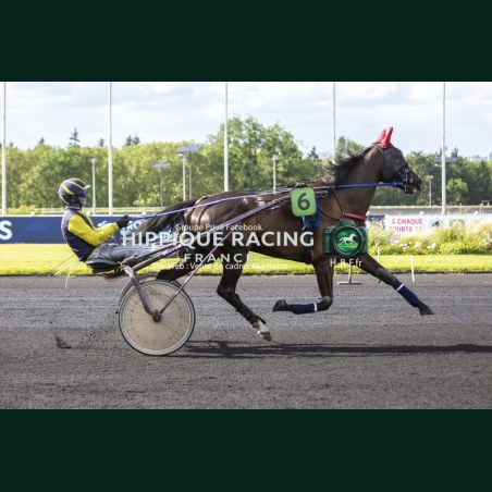 Heat Course 9 06/06/2026 - photos course hippodrome paris vincennes...