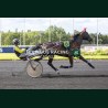 Heat Course 9 06/06/2026 - photos course hippodrome paris vincennes...