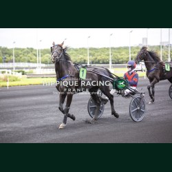 Course 9 06/06/2026 - photos course hippodrome paris vincennes trot