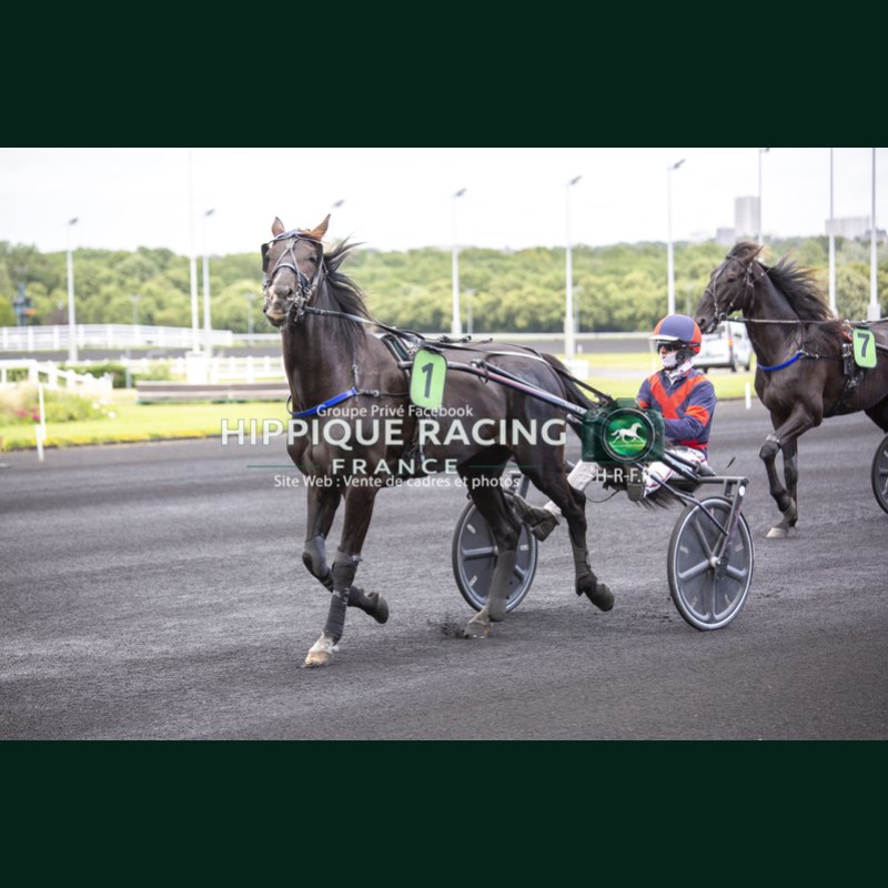 Course 9 06/06/2026 - photos course hippodrome paris vincennes trot