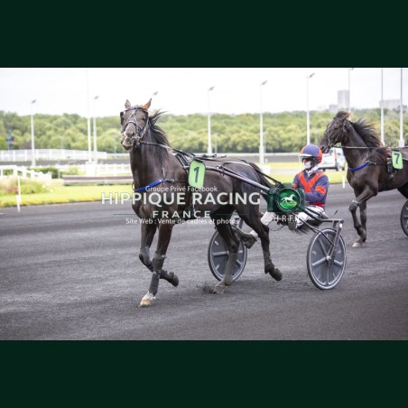 Course 9 06/06/2026 - photos course hippodrome paris vincennes trot