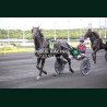 Course 9 06/06/2026 - photos course hippodrome paris vincennes trot