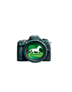 Hippique Racing France